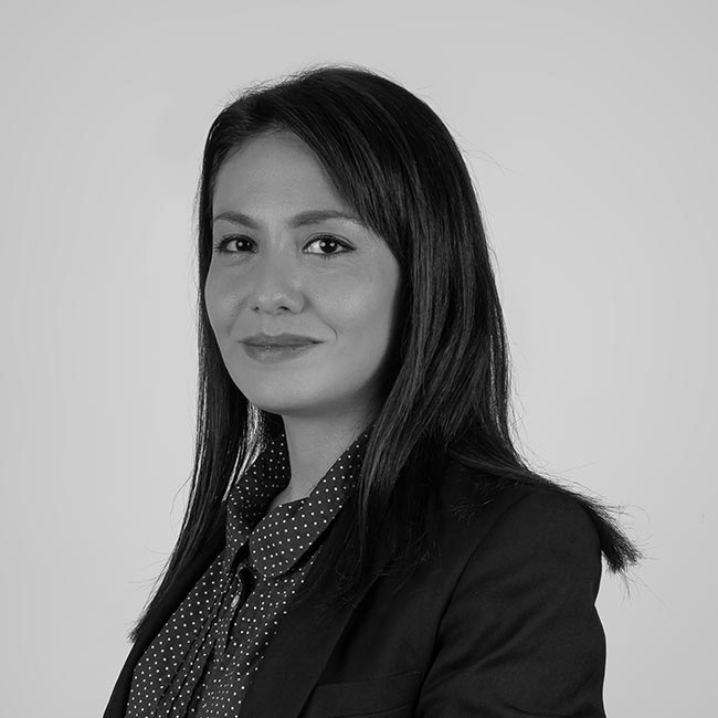 Quiénes Somos Smart Business